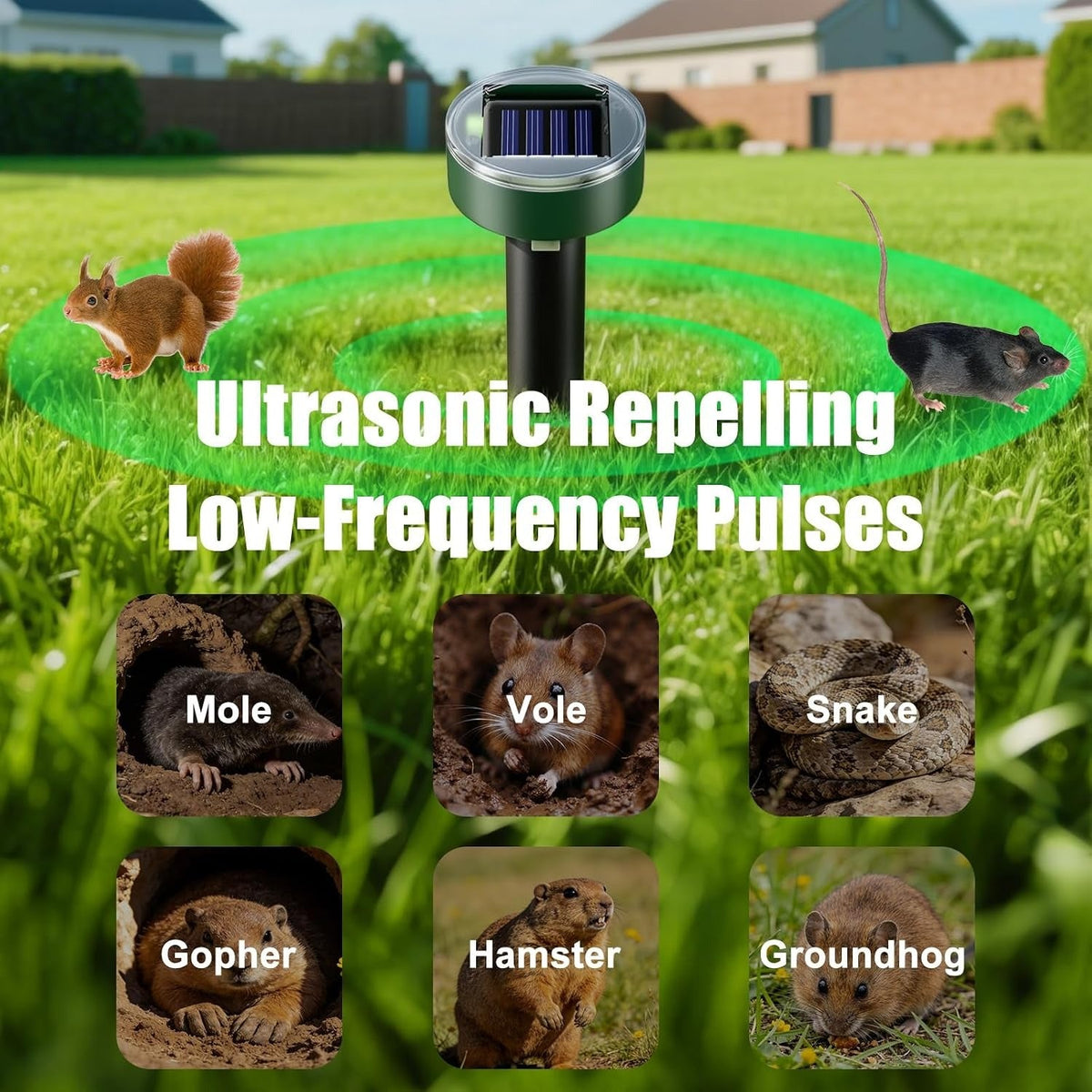 Solar Powered Rodent Repeller